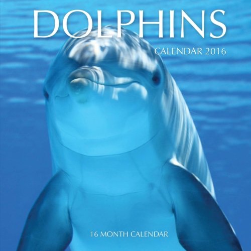 Dolphins Calendar 2016: 16 Month Calendar