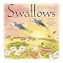 Easter Swallows