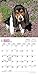 Basset Hound Puppies 2016 Calendar