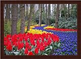 Picture Frame Chocolate Stem - .875 Rabbet .. 0.75'' wide