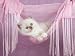 Cute Pretty Ragdoll Kitten Sitting in Pink Hammock - 24"W x 18"H - Peel and Stick Wall Decal by Wallmonkeys