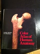 Color Atlas of Human Anatomy
