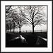 After the Rain Framed Art Print