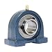 FYH UCPA205-16 Pillow Block Mounted Bearing, 2 Bolt, 1" Inside Diameter, Set screw Lock, Cast Iron, Inch