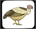 Decorated Mouse Pad with falcon, vulture, hawk, brown, bird, peregrine, carrion