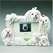Maltese PHOTO FRAME (4x6)