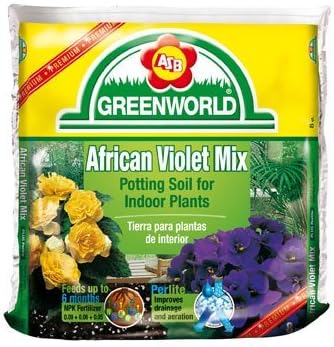 ASB Greenworld 308265 8 Qt. African Violet Mix, Pack of 6