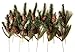 CraftMore Set of 12 Wild Wood Pine Picks