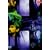 �M�̒� [DVD]