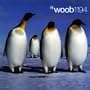 Woob 1194