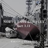 NORTH EAST COMPLEX part 3.11 NORTH EAST COMPLEX part 3.11