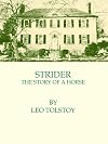Strider: The Story of a Horse: [EasyRead Edition]