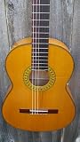 Francisco Navarro Flamenco Guitar