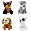 Assorted Dog Plush