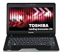 Toshiba Satellite T130-11H 13.3-Inch Notebook (Pentium ULV SU2700 1.3GHz, 3 GB RAM, 250 GB HDD, Webcam, BT, Up To 11 hr battery, Windows 7 Home Premium Edition 64 Bit, Black)