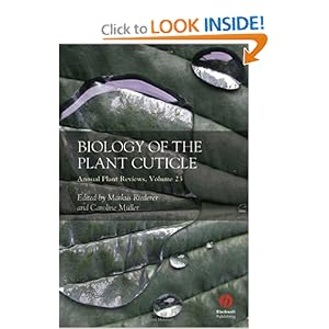 Cuticle Of Plant