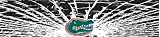 Florida Gators Shattered Auto Visor Decal