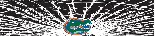 Florida Gators Shattered Auto Visor Decal