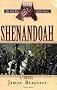 Shenandoah: A Novel (Civil War Battle)