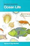 Ocean life in colour