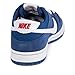 Nike Men's Dunk Low Pro IW Skate Shoe