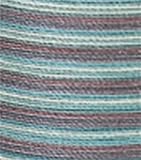 Coats & Clark Cotton Multicolor Machine Quilting T