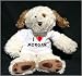 

Plush Dog (Dog Tired) toy with I Love Morgan