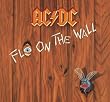 Fly On The Wall