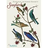 Pomegranate Audubon Songbirds Standard Boxed Note Card Set (Pack of 2)