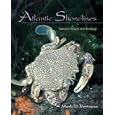 Atlantic Shorelines: Natural History and Ecology by Mark D. Bertness