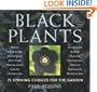 Black Plants: 75 Striking Choices for the Garden