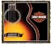 Harley-Davidson&reg; Motorcycles Guitar Throw Blanket