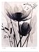 (12x16) Judith McMillan Lotus and Grasses Art Print Poster