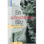 Ein aufleuchtender Blitz: Niels Henrik Abel und seine Zeit book cover