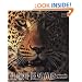 The Lords of the Savannah - Leopards & Cheetas (Art of Being)