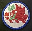 Georgia National Guard Full Color Dress Patch
