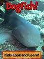 Dogfish! Learn About Dogfish and Enjoy Colorful Pictures - Look and Learn! (50+ Photos of Dogfish)