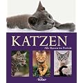 Katzen: Alle Rassen im Portr�t