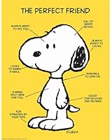 Eureka Peanuts The Perfect Friend Poster