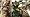 Max Payne 3 (PC DVD)