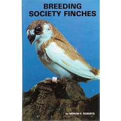Breeding Society Finches