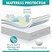 Milliard Premium Terry Hypoallergenic 100-Percent Waterproof Mattress Protector, California King