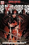 Dark Reign: Elektra (2009 series) #1 VARIANT