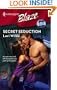 Secret Seduction (Harlequin Blaze)