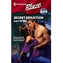 Secret Seduction (Harlequin Blaze)