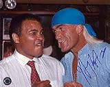 Hulk Hogan Autographed 8 x 10 Black and White Fists Up Photograph with Muhammad Ali (Unframed)
