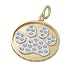 Bark Avenue Jewelers- Pave Paw Print Pendant 14 Karat Yellow Gold Two Tone- Large