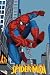 Search : The Amazing Spiderman 4' x 6' Area Rug SPIDER-MAN RUG