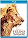 F�lins, le royaume du courage [blu-ray], Keith scholey