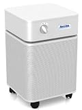Austin Air HealthMate Plus Air Purifier